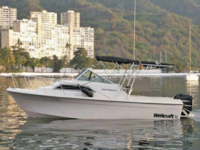 WELLCRAFT SPORTSMAN 250