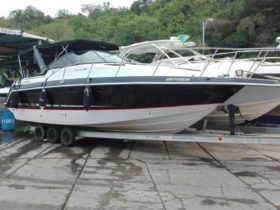 CHAPARRAL SIGNATURE 31