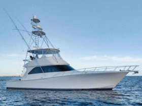 VIKING 61