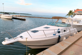 WELLCRAFT MARTINIQUE 32
