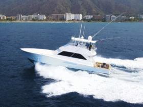 VIKING CONVERTIBLE 55