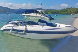 SEA DOO CHALLENGER 19.5