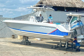 PROLINE 29