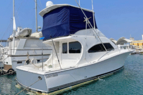 LUHRS 41