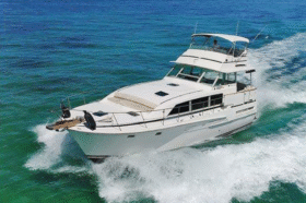 BERTRAM 46