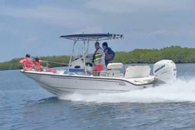 BOSTON WHALER 220 DAUNTLESS 23