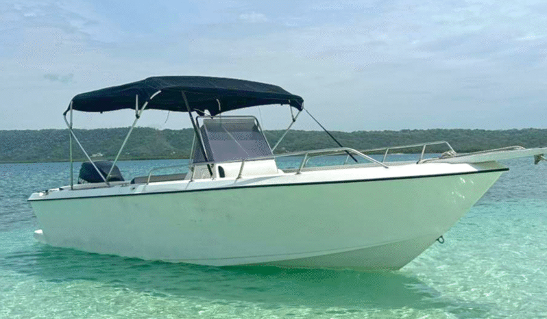 
								CORALINE OPEN 22 full									