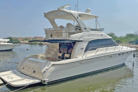 SEA RAY SEDAN BRIDGE 48
