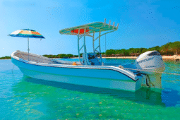 
										PEÑERO TROMPA DE BALLENA 27 full									