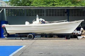PEÑERO COPPOLA 28