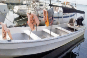 PEÑERO INVELA 21