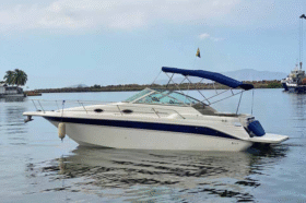 SEA RAY SUNDANCER 270