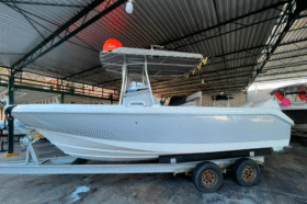 BOSTON WHALER DAUNTLESS 24