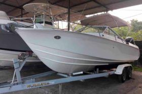 WELLCRAFT 25