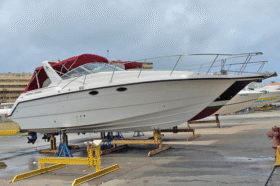 CHAPARRAL 31