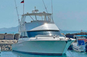 VIKING CONVERTIBLE 45
