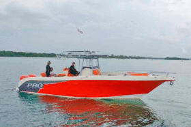PROMARINE OPEN 33