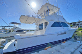VIKING CONVERTIBLE 43