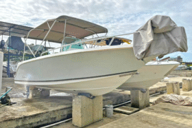CORALINE 24
