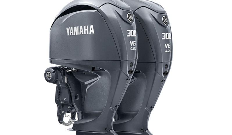 
								PAREJA YAMAHA F 300HP full									