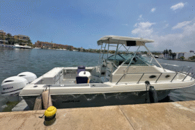 PROLINE MID CABIN 2950 30