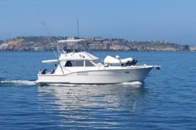 HATTERAS CONVERTIBLE 42