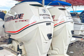 PAREJA EVINRUDE E-TEC 250HP