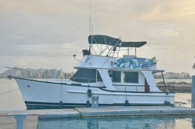 KONG Y HALVORSEN GYPSY EUROPA 36