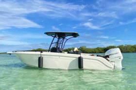 AQUANAUTI 24