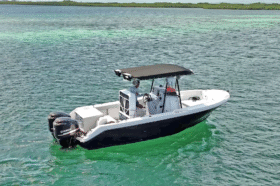 BOSTON WHALER 21