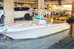 
										PROMARINE OPEN 27 full									