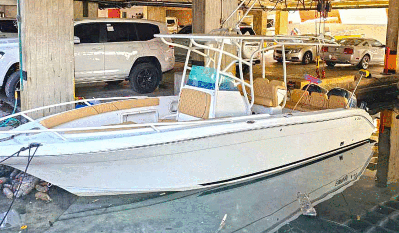
								PROMARINE OPEN 27 full									