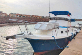 ALBIN 32