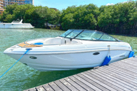 CHAPARRAL SSI 24