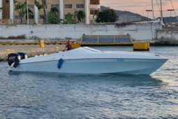 
										PROMARINE SS1000 33 full									