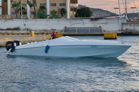 PROMARINE SS1000 33
