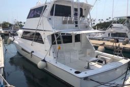 
										VIKING ENCLOSED BRIDGE 58 full									