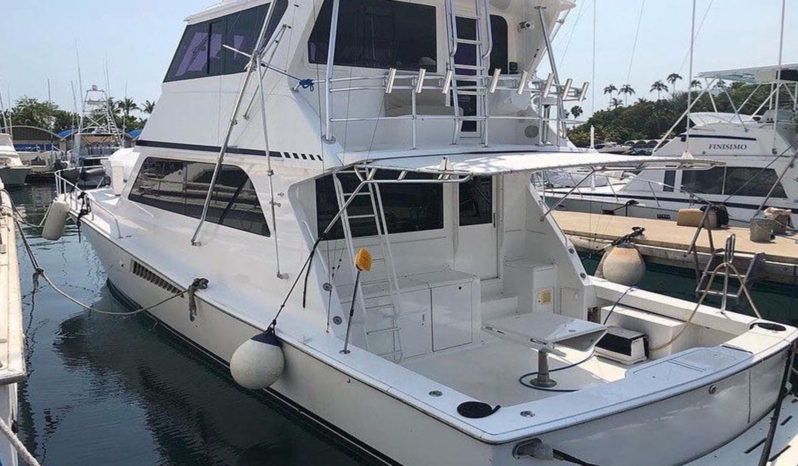 
								VIKING ENCLOSED BRIDGE 58 full									