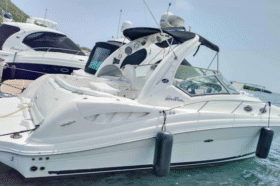 SEA RAY SUNDANCER 34
