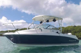 WELLCRAFT COASTAL 223
