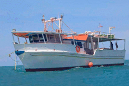 BARCO FIBRA DE PESCA 19 MTRS