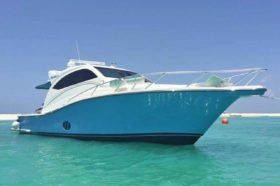BLUE ARROW 48