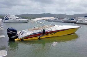 PROMARINE 1000SS 33