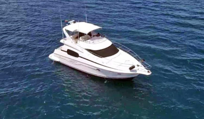 
								SILVERTON 41 full									