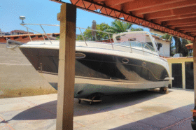RINKER 36