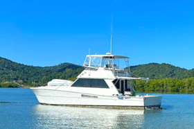 VIKING 48