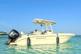 PROMARINE OPEN 24