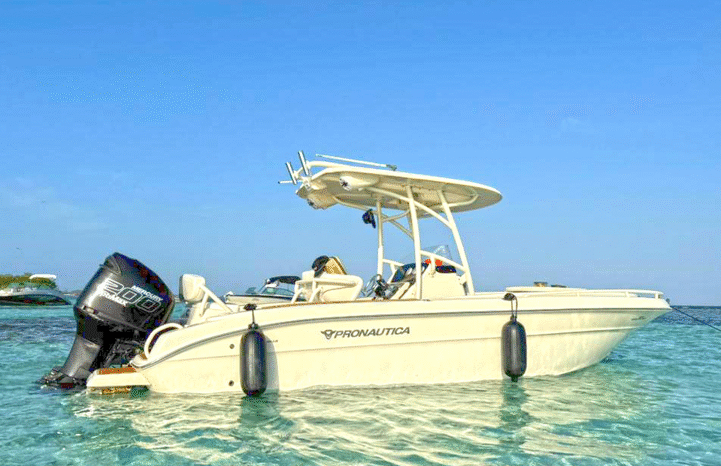 
								PROMARINE OPEN 24 full									