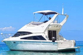 CARVER SPORT 33