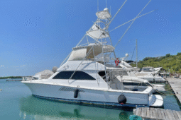 VIKING CONVERTIBLE 48